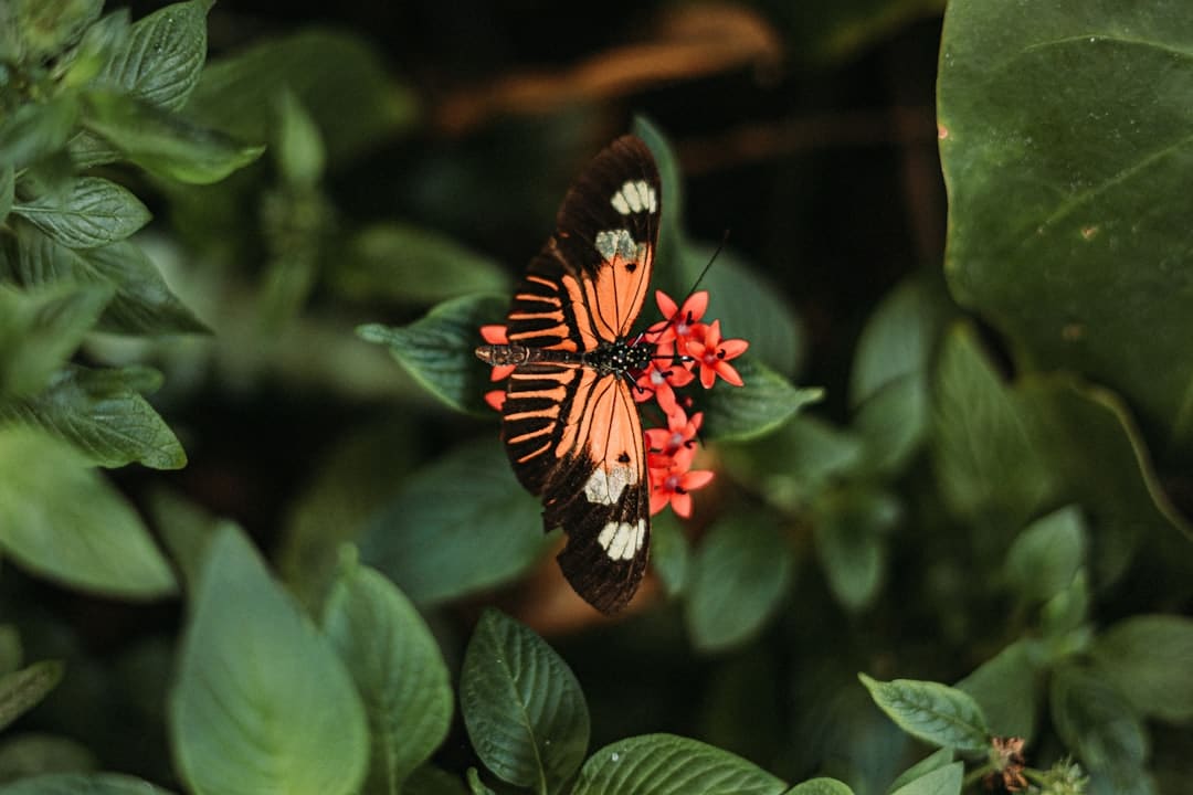 电影《有朵云像你》发布同名主题曲MV 陈昊宇温顺唱响云端爱意浪漫又治好
